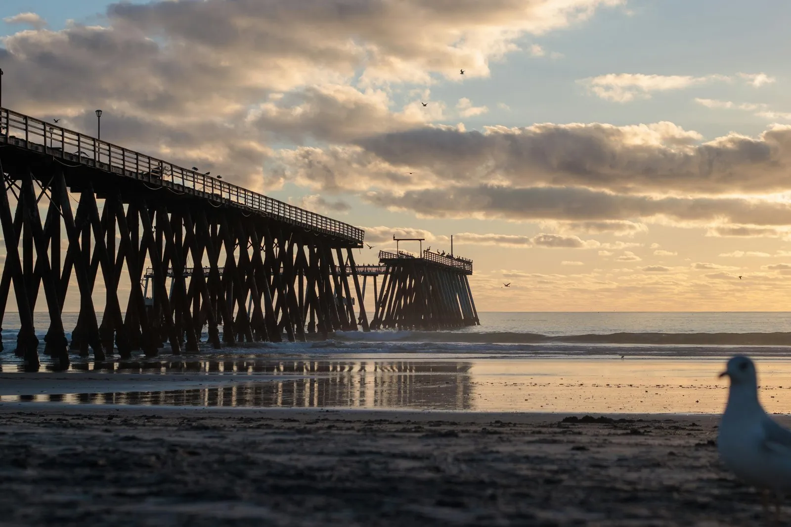 Embarcadero sobre el mar al atardecer